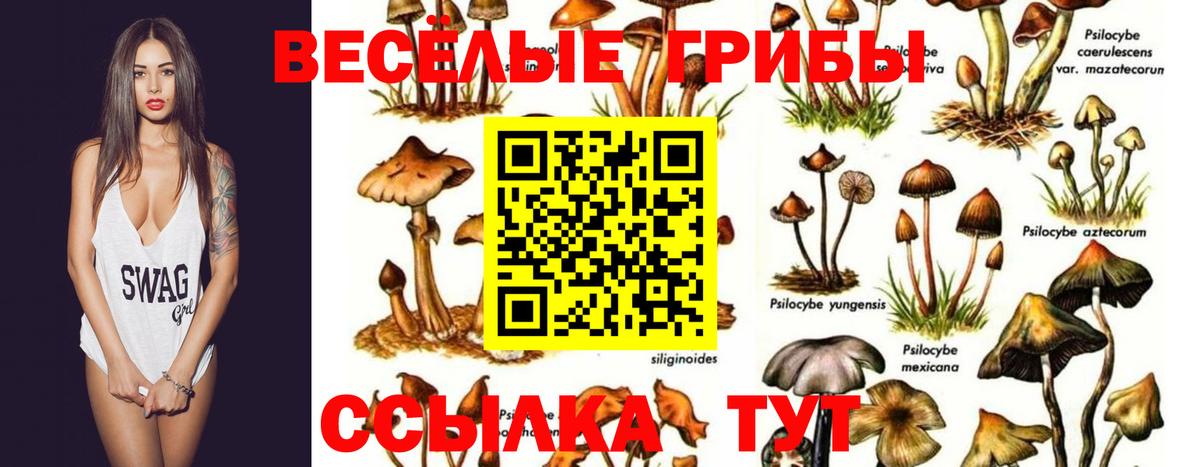 Псилоцибиновые грибы MAGIC MUSHROOMS  Вход с VPN  Вольск 